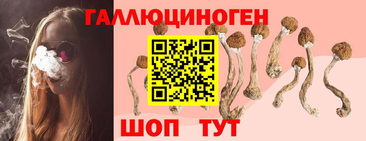 Бахчисарай  Галлюциногенные грибы мицелий  Вход с VPN  Галлюциногенные грибы ЛСД 